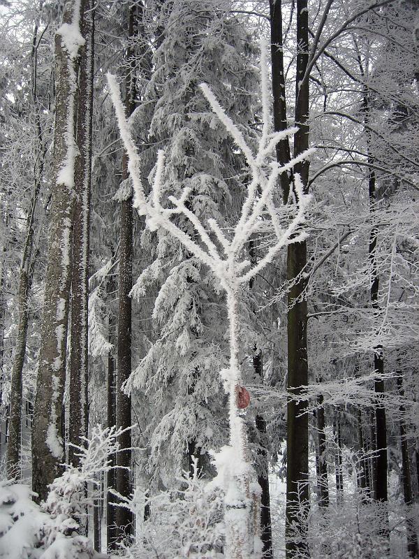 2009 12 13 B